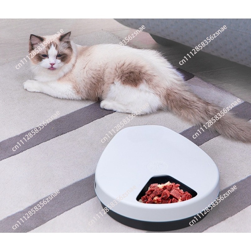 Pet refrigerator automatic wet - огляд і ціна Wet Food Automatic Pet Feeder Refrigerated
