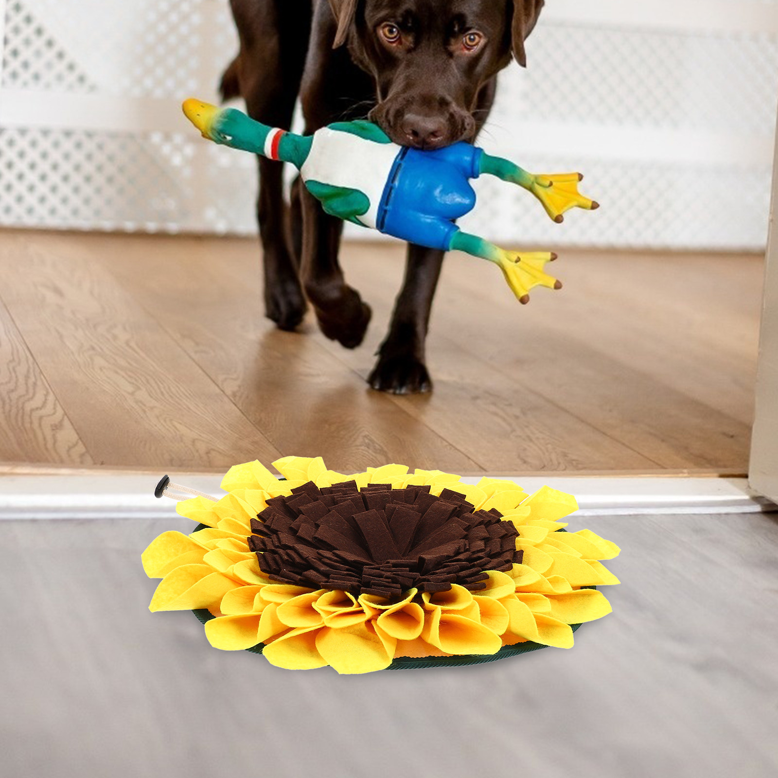 Household Foraging Mat Slow Fe - огляд і ціна Snuffle Mat For Dogs Foraging Mental