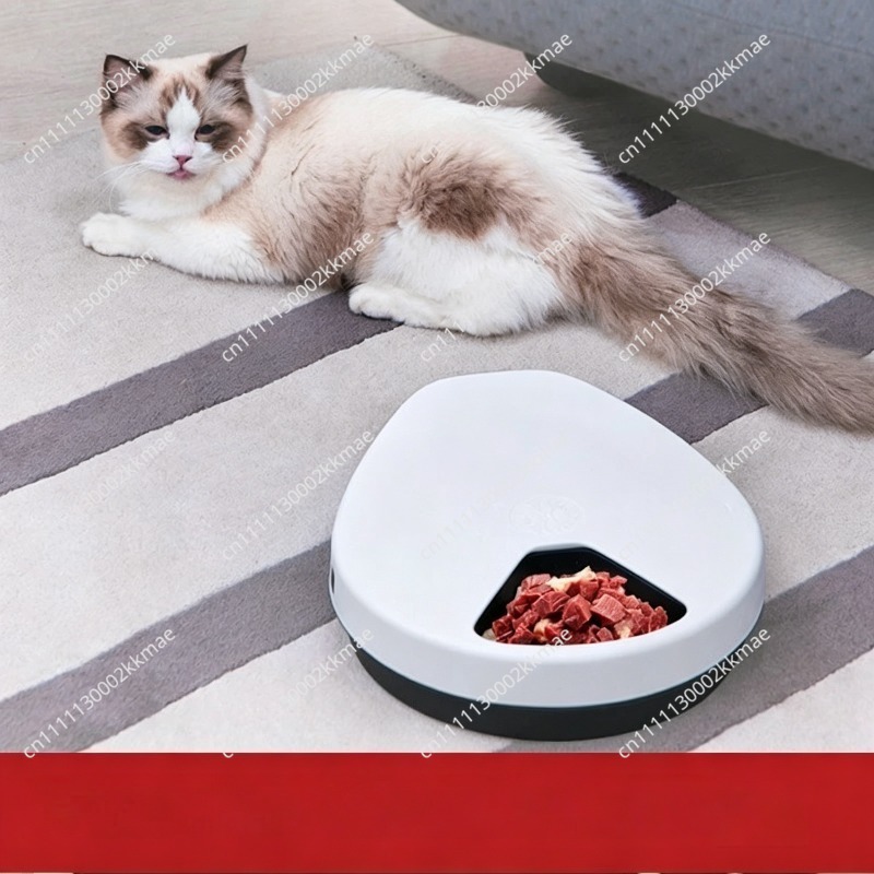 Pet refrigerator, automatic we - огляд і ціна Wet Food Automatic Pet Feeder Refrigerated