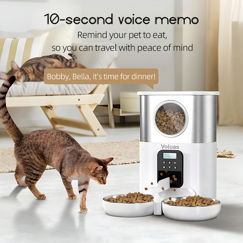 Cats Dog Timing Automatic Feed - огляд і ціна Automatic Pet Feeder Dual Bowl Stainless