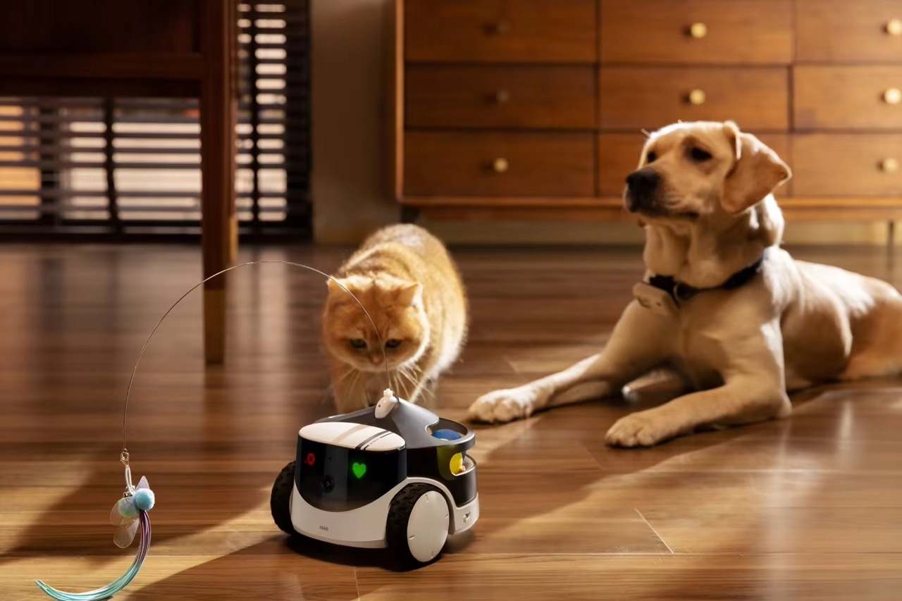 FurStarROLA PetPal AI Robot Co - огляд і ціна Pet Treat Dispenser Camera Interactive