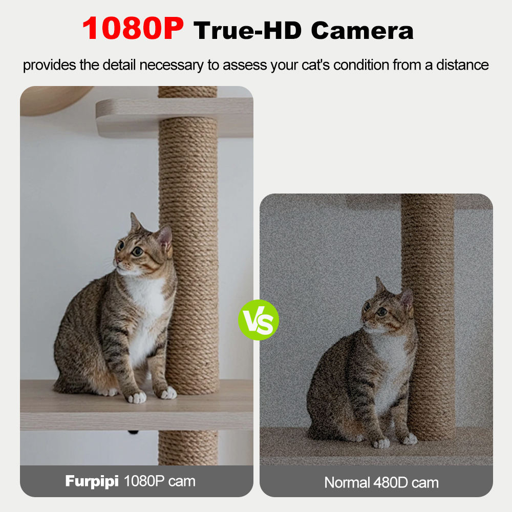 270oz Automatic Cat Feeder Wit - огляд і ціна Smart Pet Feeder Camera 1080P Wifi